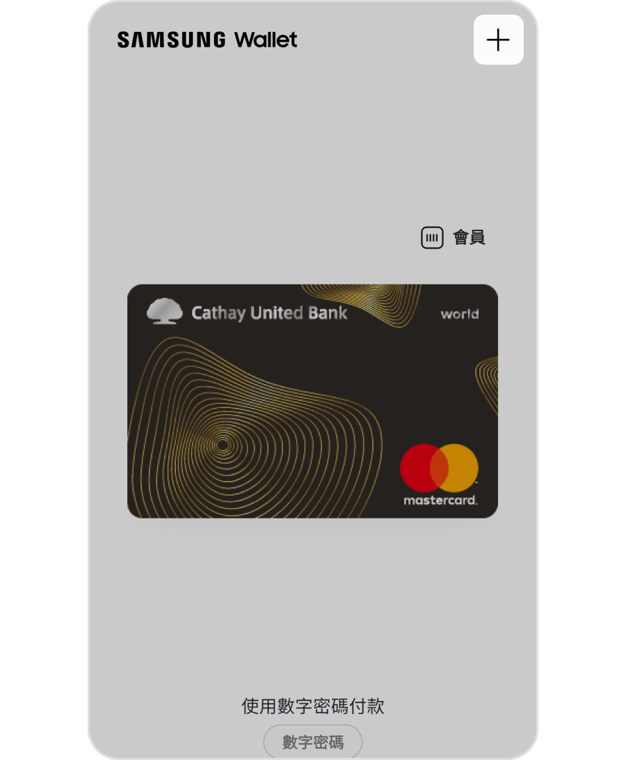 Samsung Pay